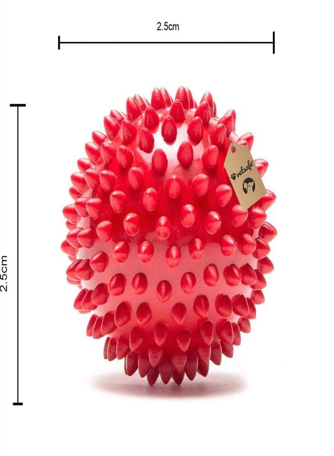 VetSafe Natural Rubber Spike Ball - 2.5inch/ 6.35cm | Suitable for Small to Medium Dogs and Puppies | Chewing, Teething, and Training Bouncy Ball Toy - Image 4